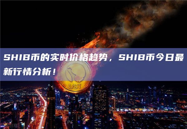 SHIB幣最新價格動態分析