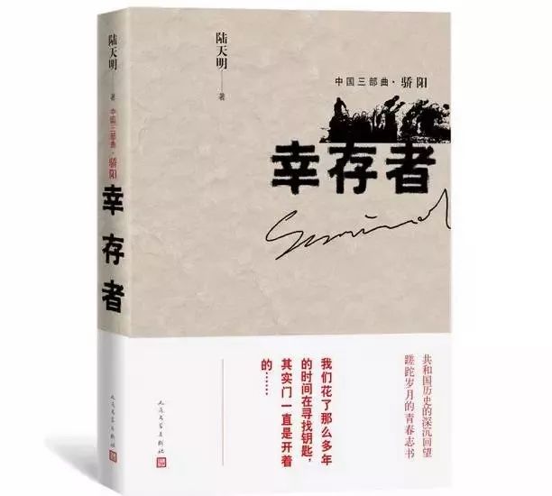 丁長林章亮雨最新章節閱讀，探尋故事的深度與魅力