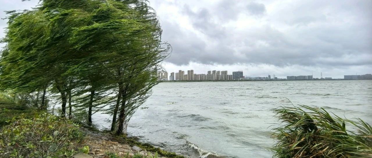 蘇州今天臺風最新消息，風雨中的城市動態與應對措施